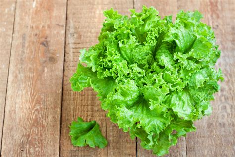 18 Types of Lettuce and the Best Ways to Eat Each One | Epicurious