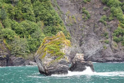 Ultimate Guide to Planning a Resurrection Bay Cruise - Seward, Alaska