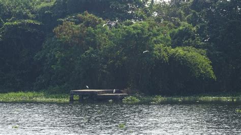 Pathiramanal, a small island on the backwaters of Alappuzha, Alleppey ...