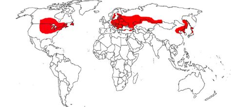 Humid Continental Climate Europe