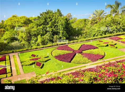 The Madeira Botanical Garden - Funchal, Madeira Island, Portugal Stock Photo: 90728918 - Alamy