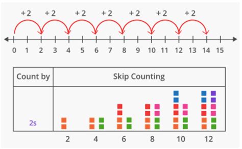 What is Skip Count? Definition, Examples, Facts