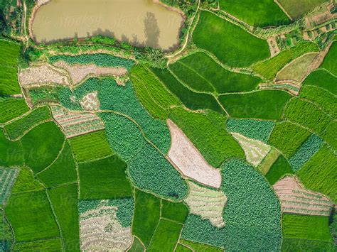 "Aerial Photography Bird-eye View Of Farm Farmland Nature Landsca" by ...