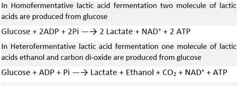 Lactic Acid Fermentation Equation