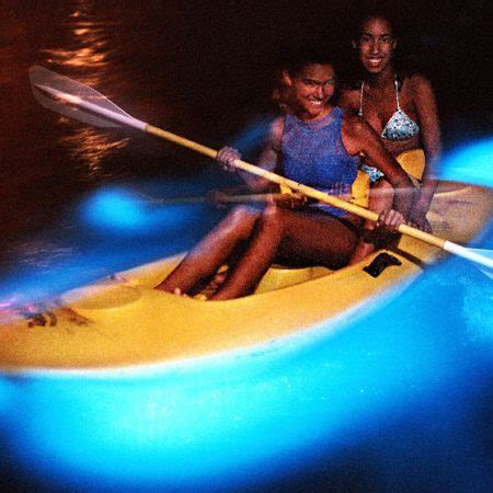 Bioluminescent Bay - Click You Like