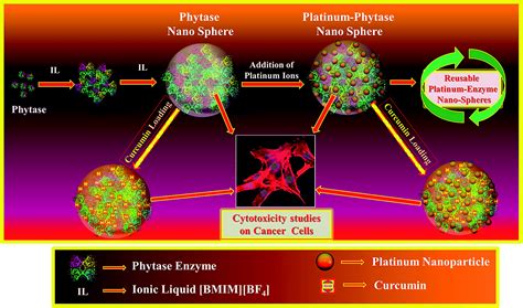 Intrinsic therapeutic and biocatalytic roles of ionic liquid mediated self-assembled platinum ...