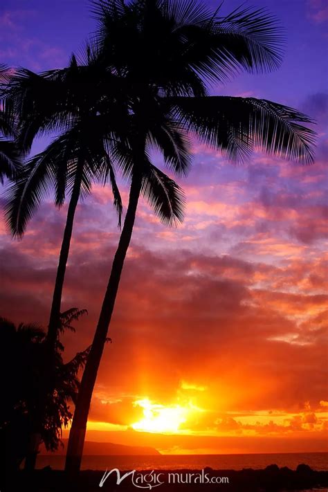 Beautiful Hawaiian Sunset Wallpaper Mural by Magic Murals