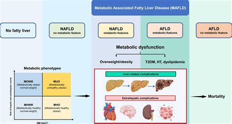 Metabolic Phenotypes: Drivers of Health Outcomes in Fatty Liver Diseases