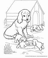 Dog Coloring Pages  Printable Mother dog Watches Her Puppies coloring sketch template