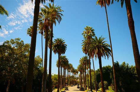 Historically Black Neighborhoods in Los Angeles County