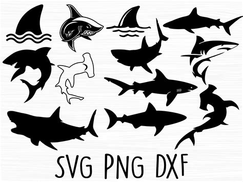 Shark Silhouette, Silhouette Svg, Silhouette Studio, Cricut, Free Add ...