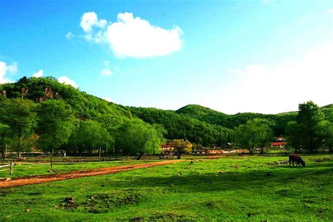 【绥芬河国家森林公园滑雪场旅游线路】绥芬河国家森林公园滑雪场旅游攻略，绥芬河国家森林公园滑雪场旅游景点大全-去哪儿网