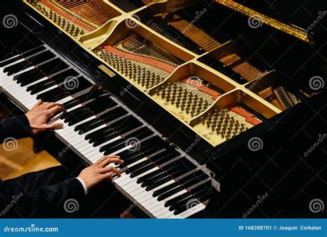 Hands of Classical Pianist Playing His Piano during a Concert Stock ...