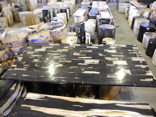 PETRIFIED WOOD TABLES | Petrified wood table, petrified wood… | Flickr