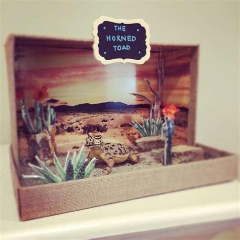 Pin by Cat Smith on Cooper Science Projects | Desert diorama, Habitats ...