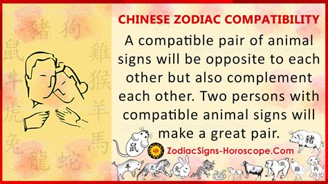 Chinese Zodiac Signs Compatibility : A Captivating Guide To Chinese ...