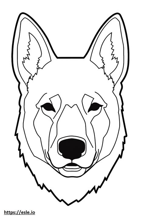 Australian Cattle Dog face coloring page