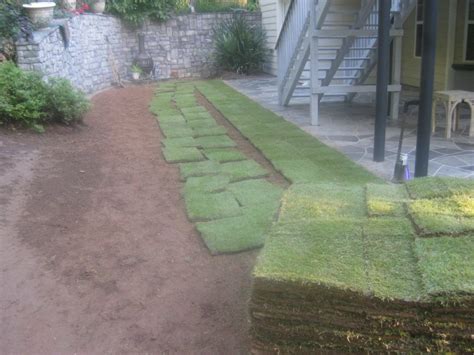 Turf Grass Sod Installation and Seed Installation - McPlants