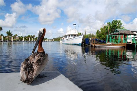 The Best Time to Visit the Florida Everglades | Everglades Activities