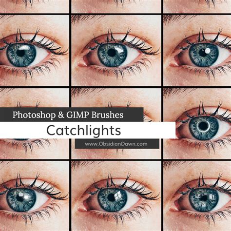 Catchlights Photoshop and GIMP Brushes by redheadstock on DeviantArt