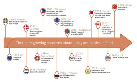 The future of antibiotics in poultry feed | Alltech