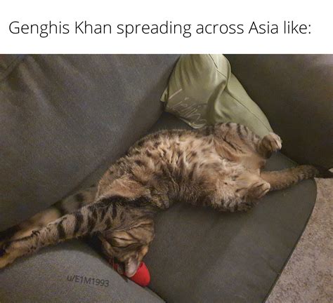 I have a big cat : r/HistoryMemes