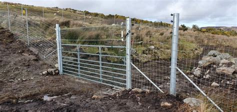 Predator Proof Fencing - Buncrana, Co Donegal - The Fencing People