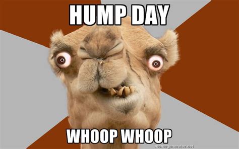 33 Happy Hump Day Meme Wishes and Images - Preet Kamal