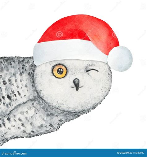 Winking Owl Clipart Image