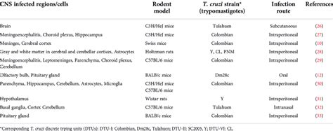 Experimental T. cruzi infection models with CNS involvement. | Download Scientific Diagram