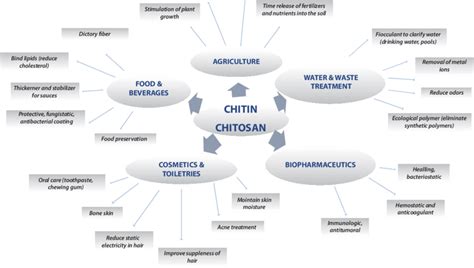 8 Industrial uses of chitin/chitosan | Download Scientific Diagram