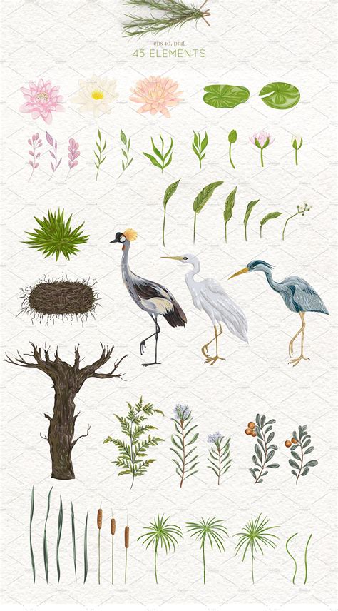 Swamp flora and fauna | Fauna illustration, Plant drawing, Nature illustration