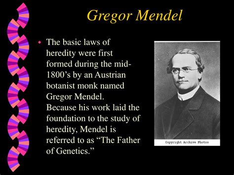 PPT - Gregor Mendel PowerPoint Presentation, free download - ID:149511