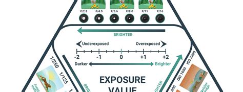 The exposure triangle in photography explained for beginners