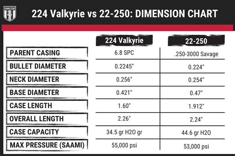 224 Valkyrie vs 22-250 - Caliber Comparison by Ammo.com