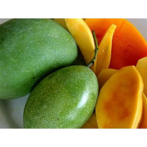 Jual Buah Mangga Manalagi | Shopee Indonesia