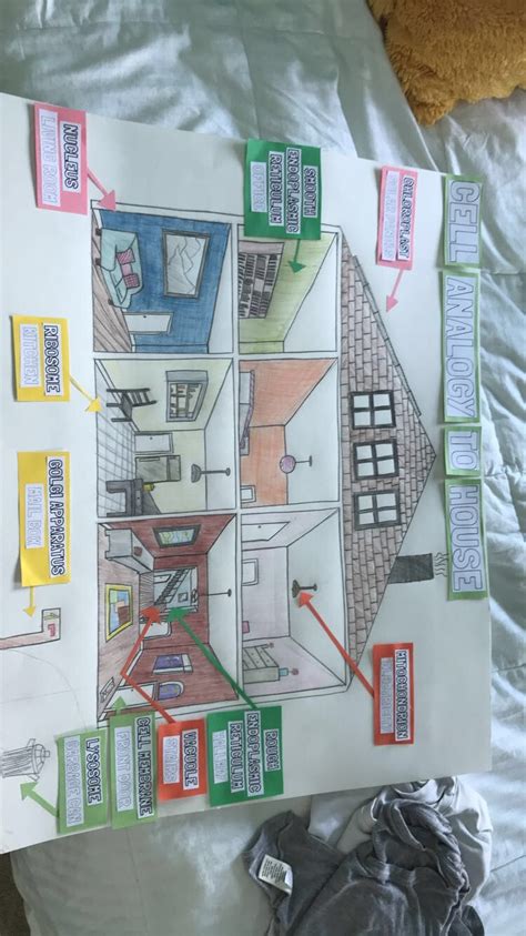 Cell Analogy Project to Home | Cell city, Cells project, Cell city project