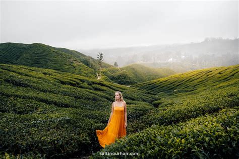 Cameron Highlands: Tea Plantations & Trails - Malaysia