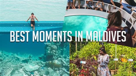 Best things to do in Maldives /// Maldives top activities - YouTube