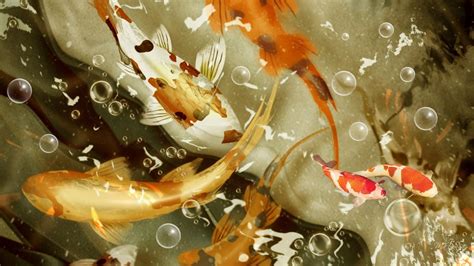 Live Koi Fish Wallpapers - Top Free Live Koi Fish Backgrounds - WallpaperAccess