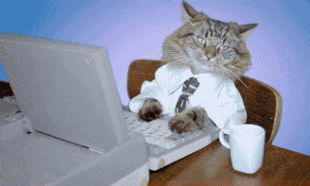 Computer Cat GIFs - Get the best GIF on GIPHY