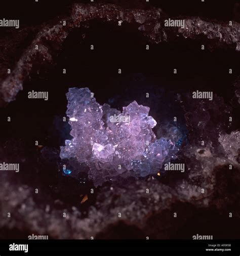 Geode of amethyst Stock Photo - Alamy