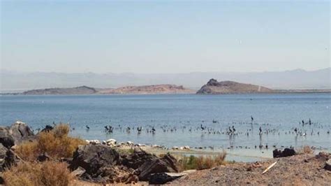 Salton Sea | lake, California, United States | Britannica.com