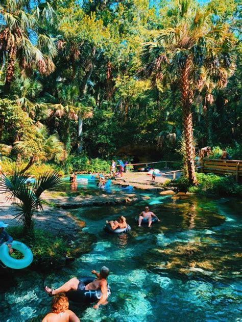 Kelly Park Rock Springs, Florida's Best Natural Springs! | Florida travel, Cool places to visit ...