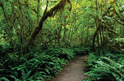 Olympic National Park | Map, Washington, & Facts | Britannica