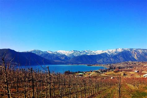 Best of February in Chelan | The Lookout at Lake Chelan