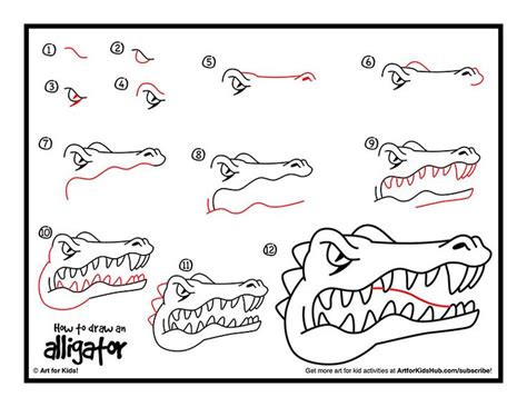 How To Draw An Alligator - Art For Kids Hub - | Animal caricature, Drawings, Owls drawing