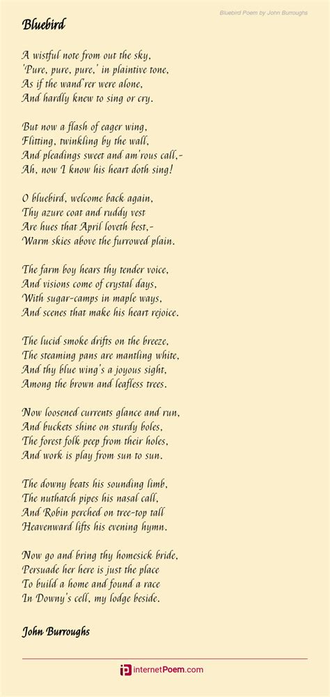 Bluebird Poem by John Burroughs