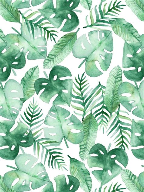 tropical, leaves, leaf, green... | Print wallpaper, Tropical, Prints