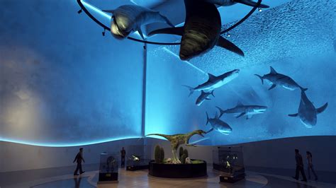 Aquarium museum :: Behance